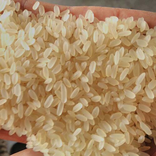 JAYA BOILED RICE